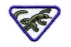 Lizards