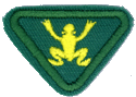 Swimmer I