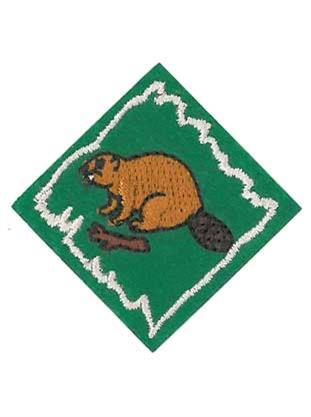 Beavers