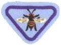 Honeybee