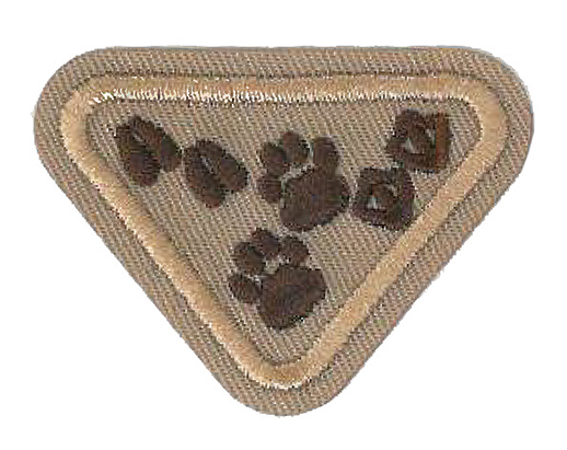 Animal Footprints