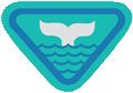 Whale